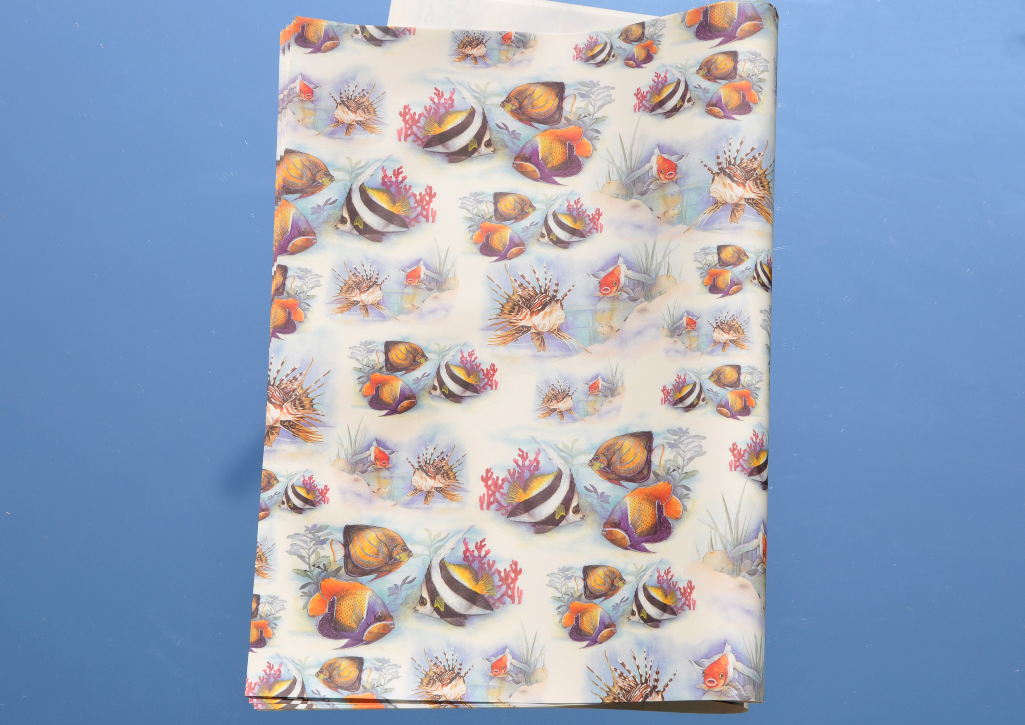 Fische / Tropenfische - Geschenkpapier