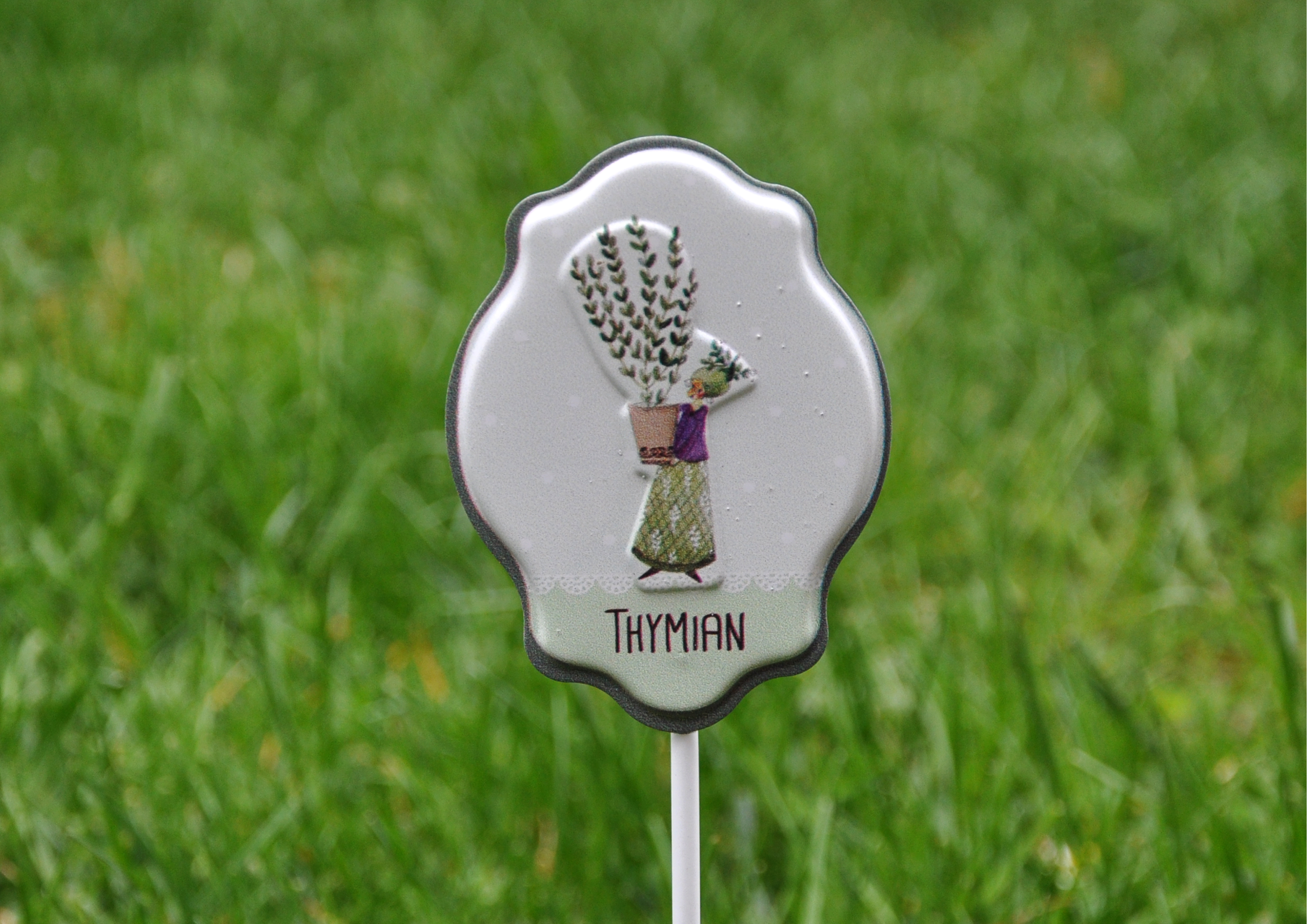 Thymian - Kräuterstecker aus Blech 