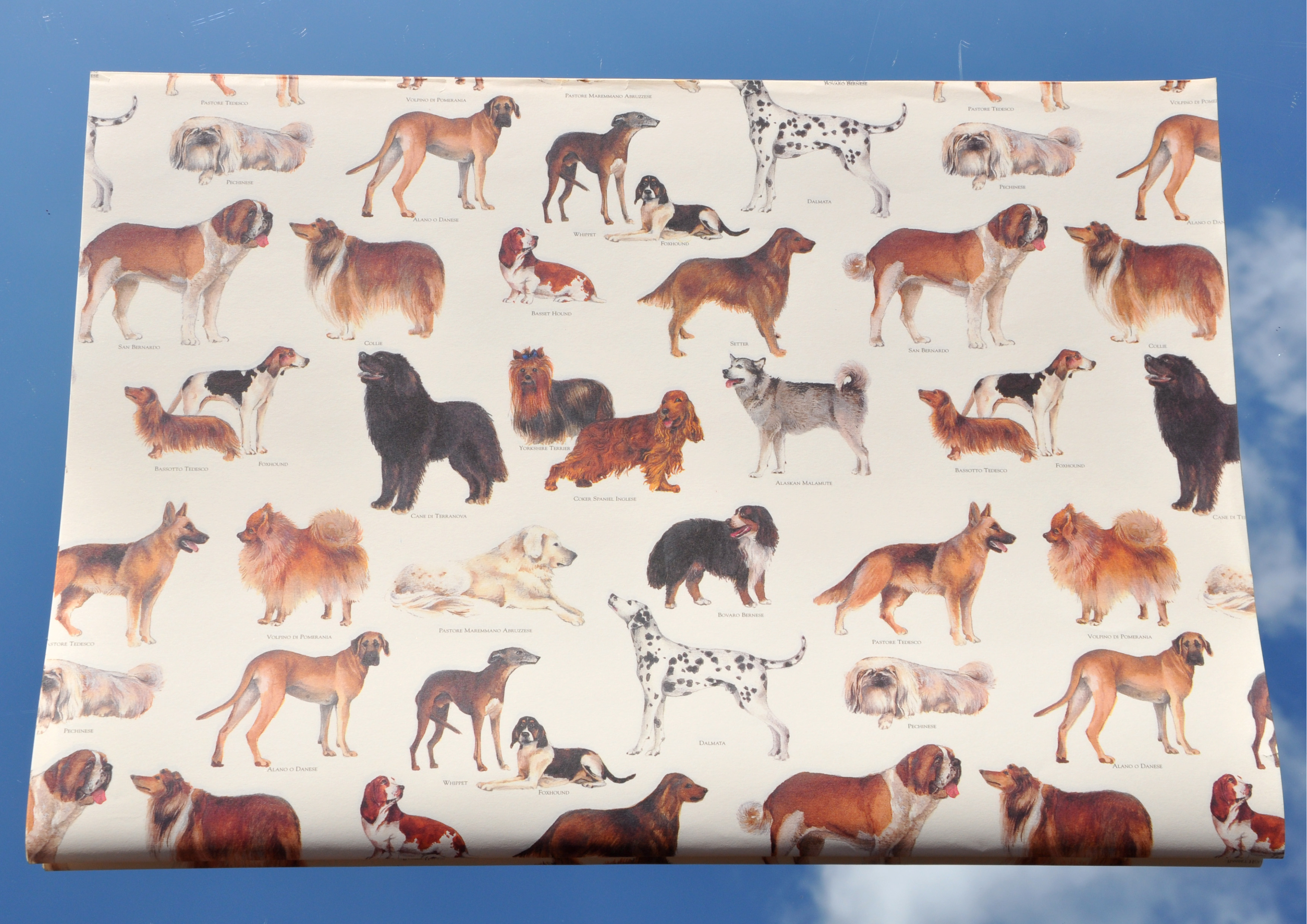 Hunde / Hunderassen - Geschenkpapier 