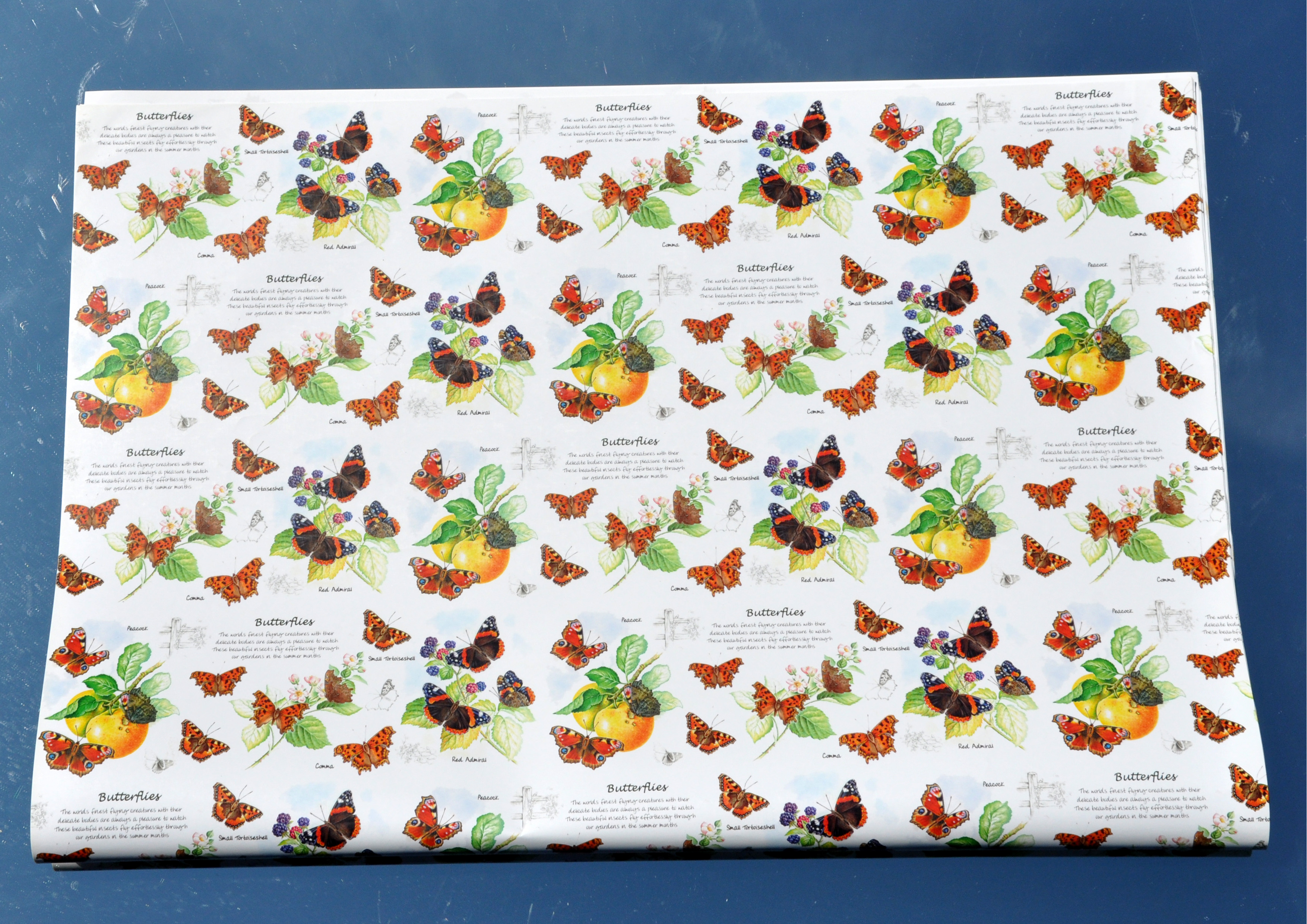 Schmetterlinge / Butterflies - Geschenkpapier 