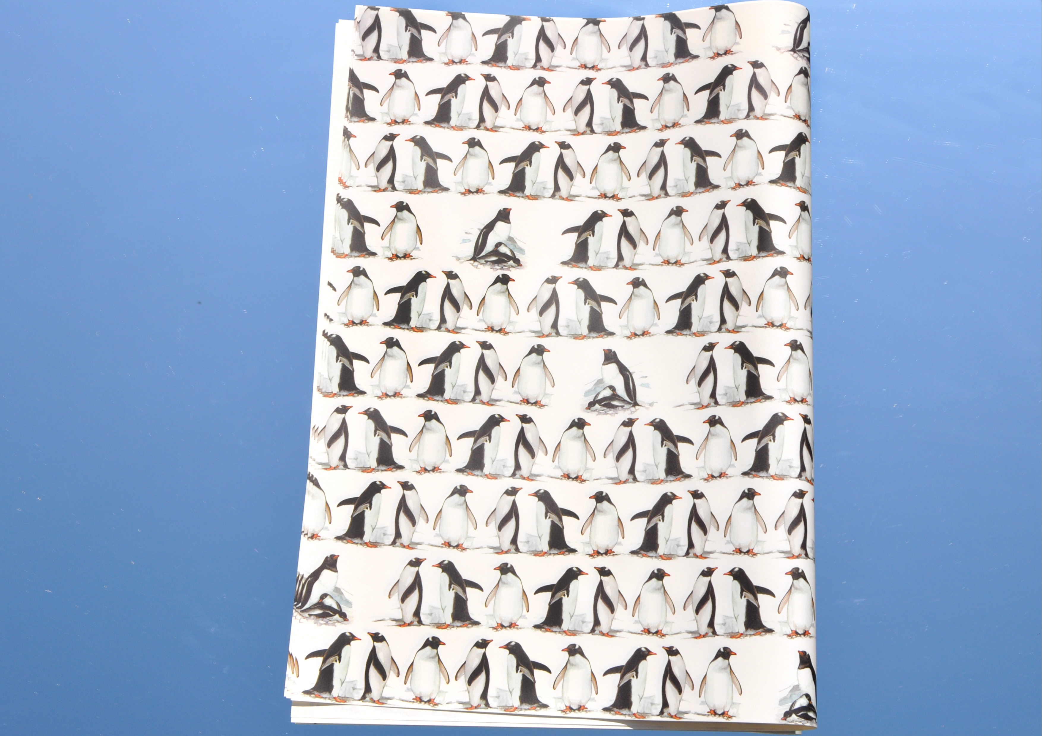 Pinguine - Geschenkpapier