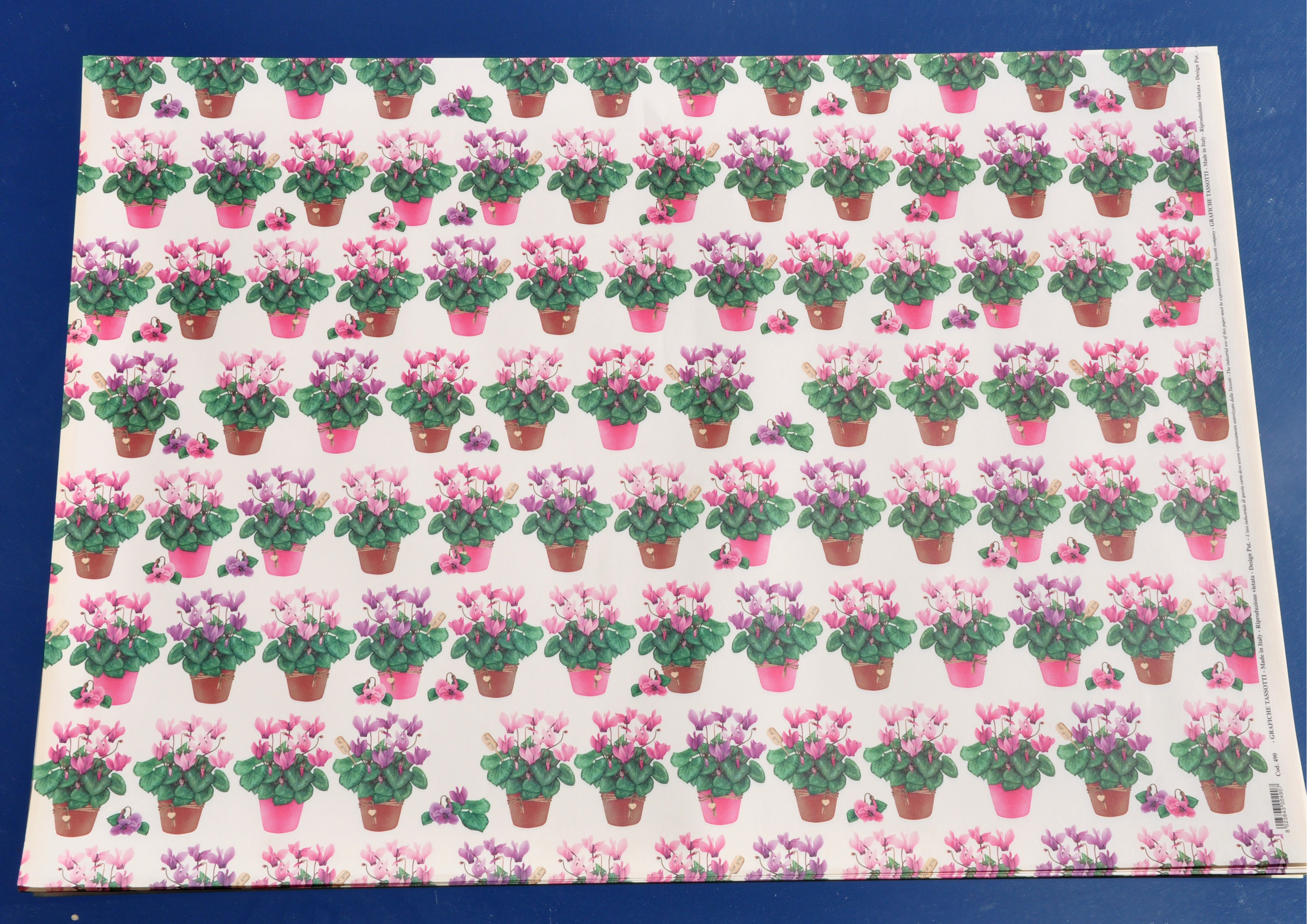 Alpenveilchen - Geschenkpapier
