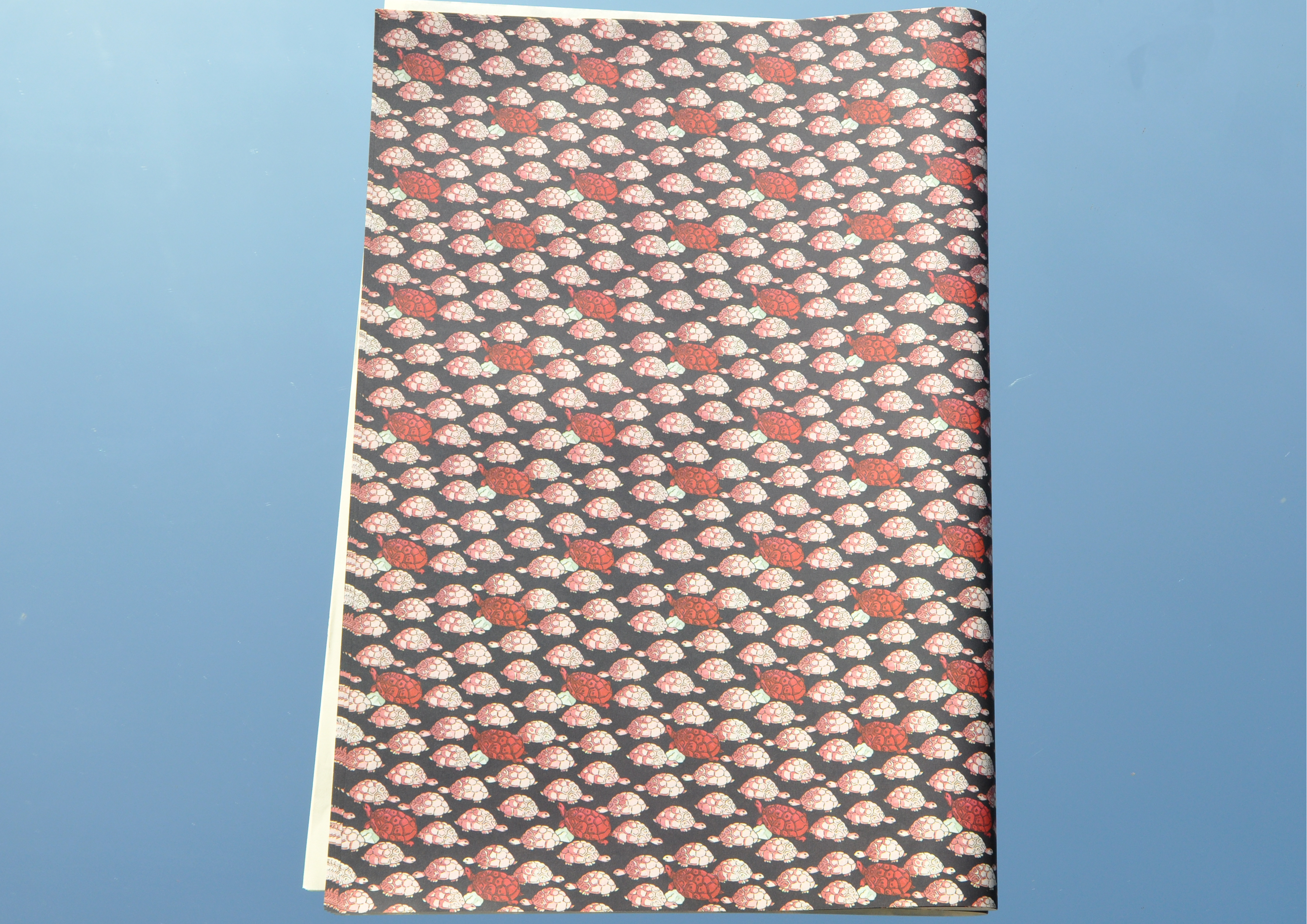 Schildkröten- Geschenkpapier 