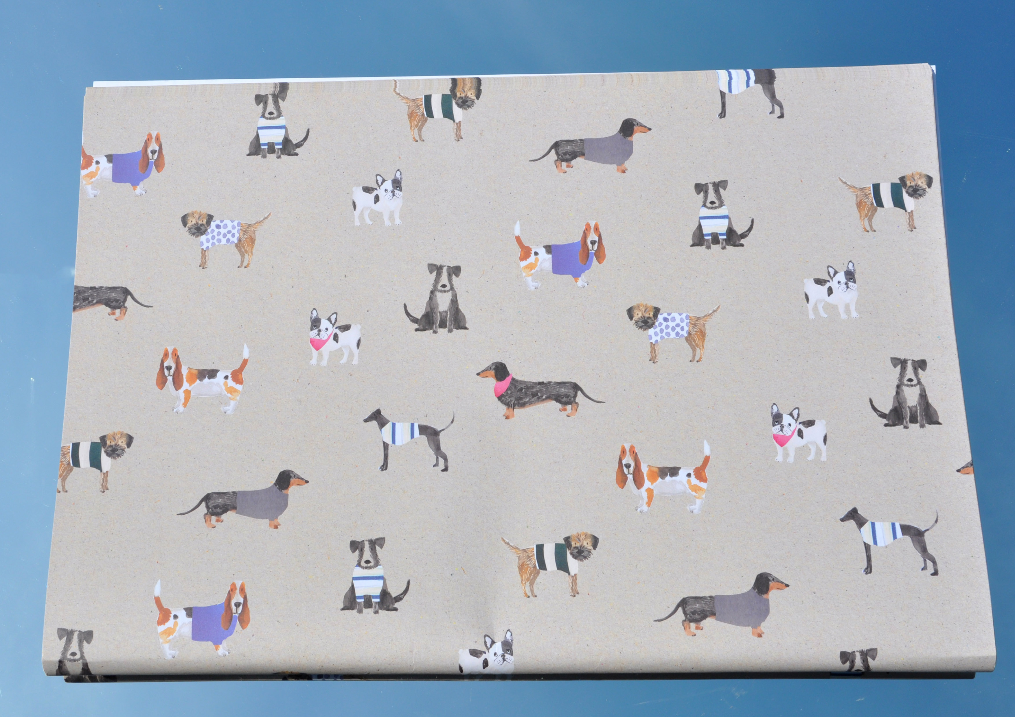 HundeDogs