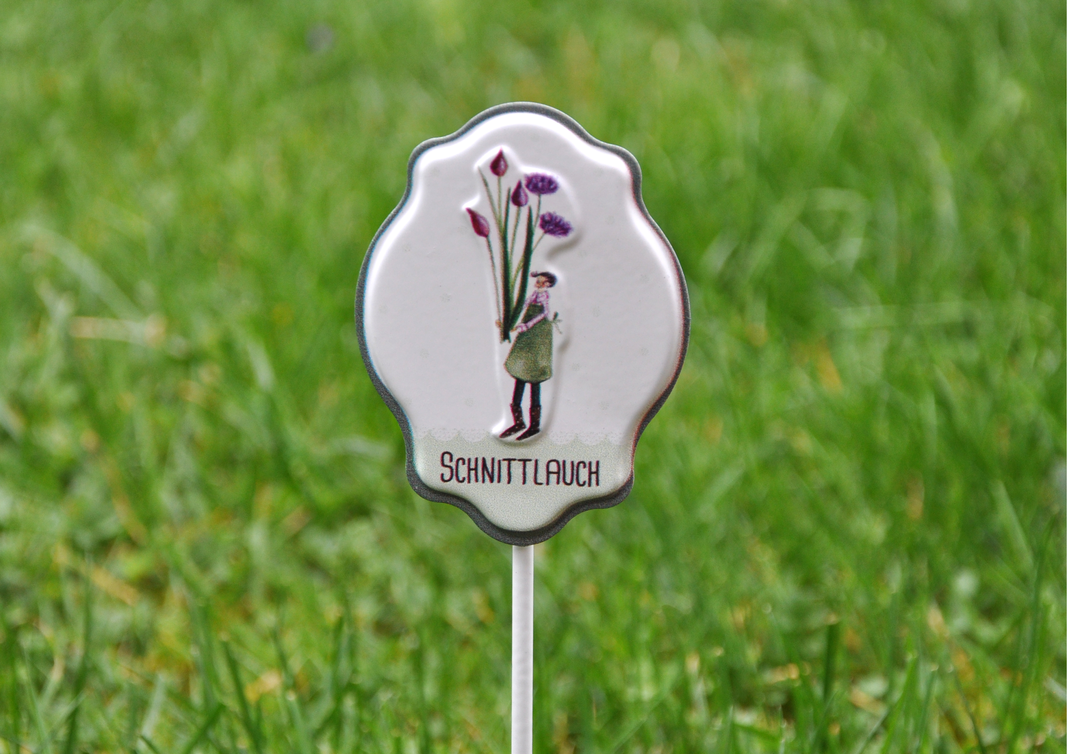 Schnittlauch - Kräuterstecker aus Blech 