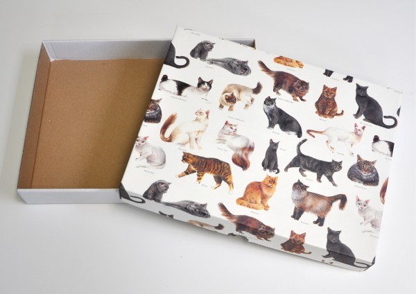 Katzen - Geschenkschachtel mit Deckel