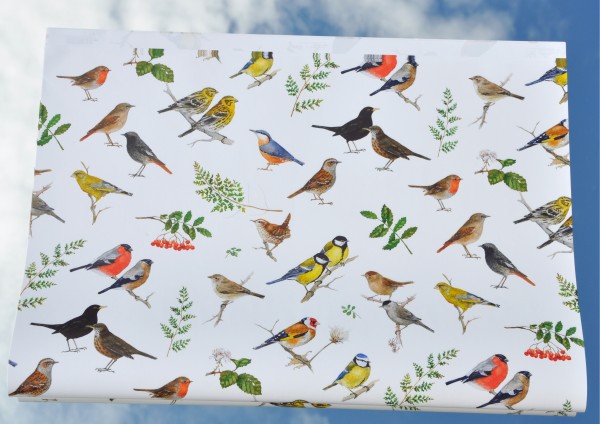 Gartenvögel - Geschenkpapier