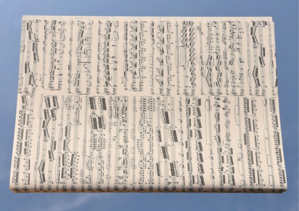 Beethoven schwarz - Geschenkpapier